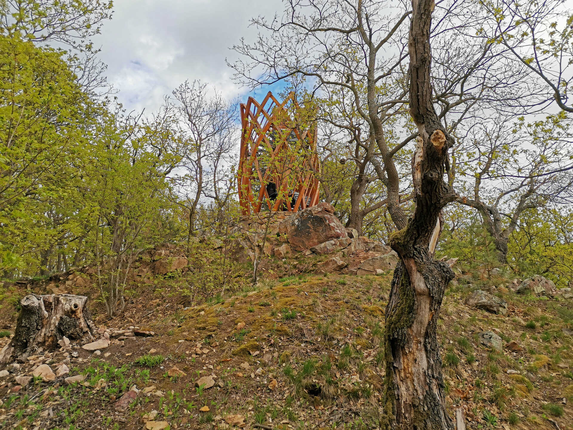 Folly arborétum, egzótakert a Balaton-felvidéken-9