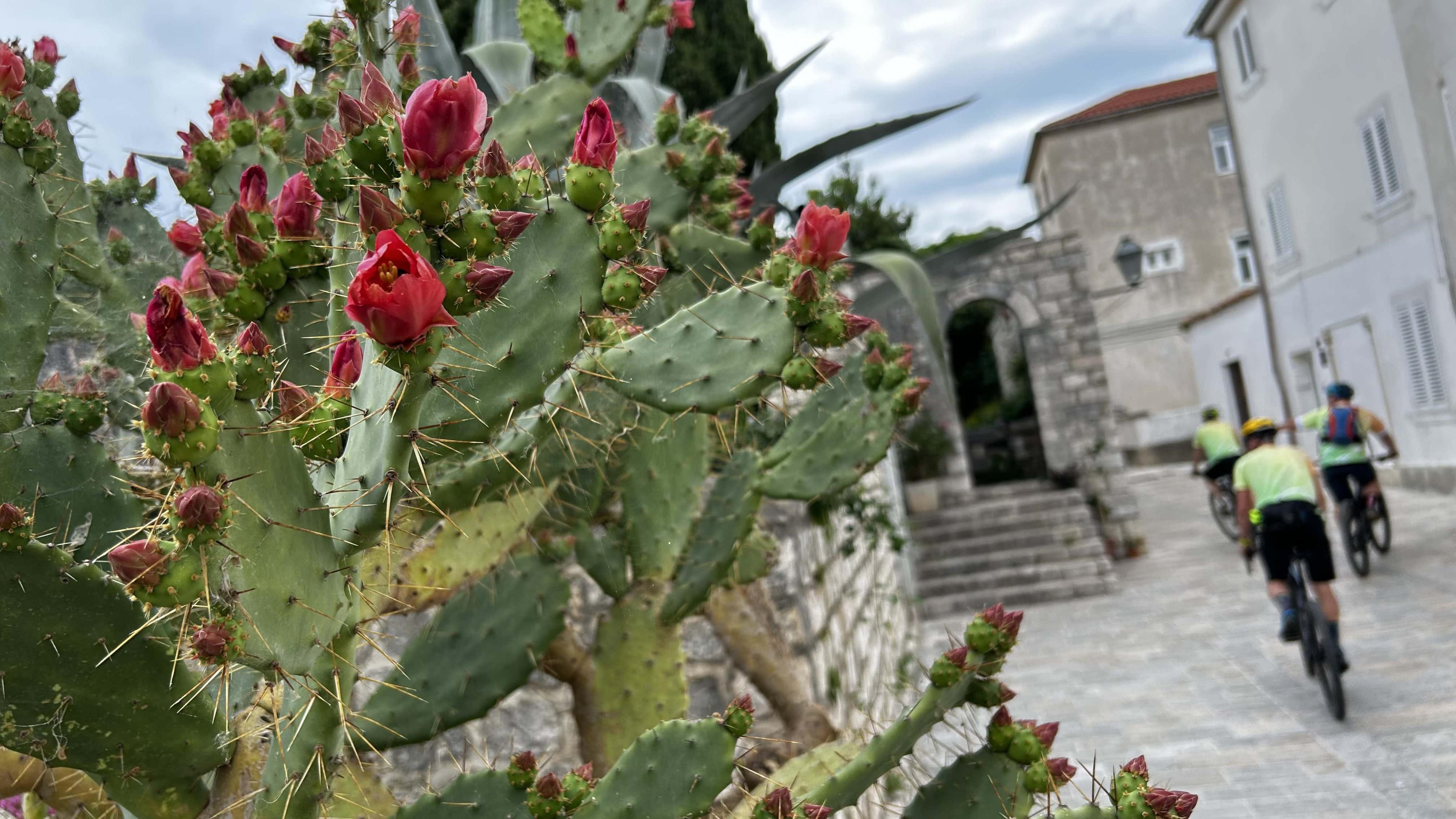 Capo Fronte, avagy gravel túra a Rab sziget zöldebbik felén-16