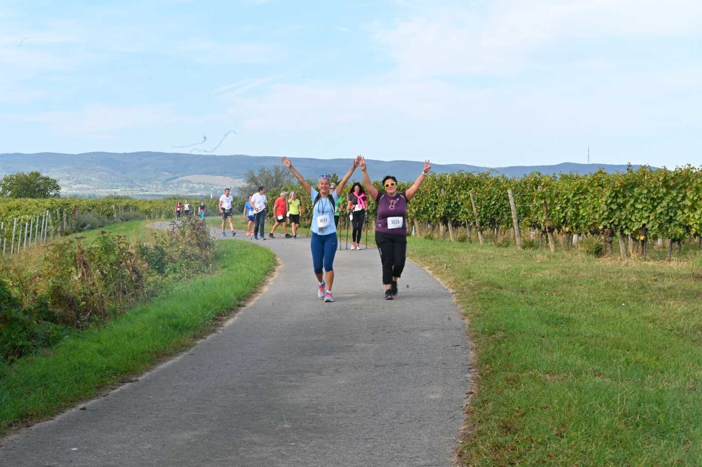 Kékfrankos maraton-2