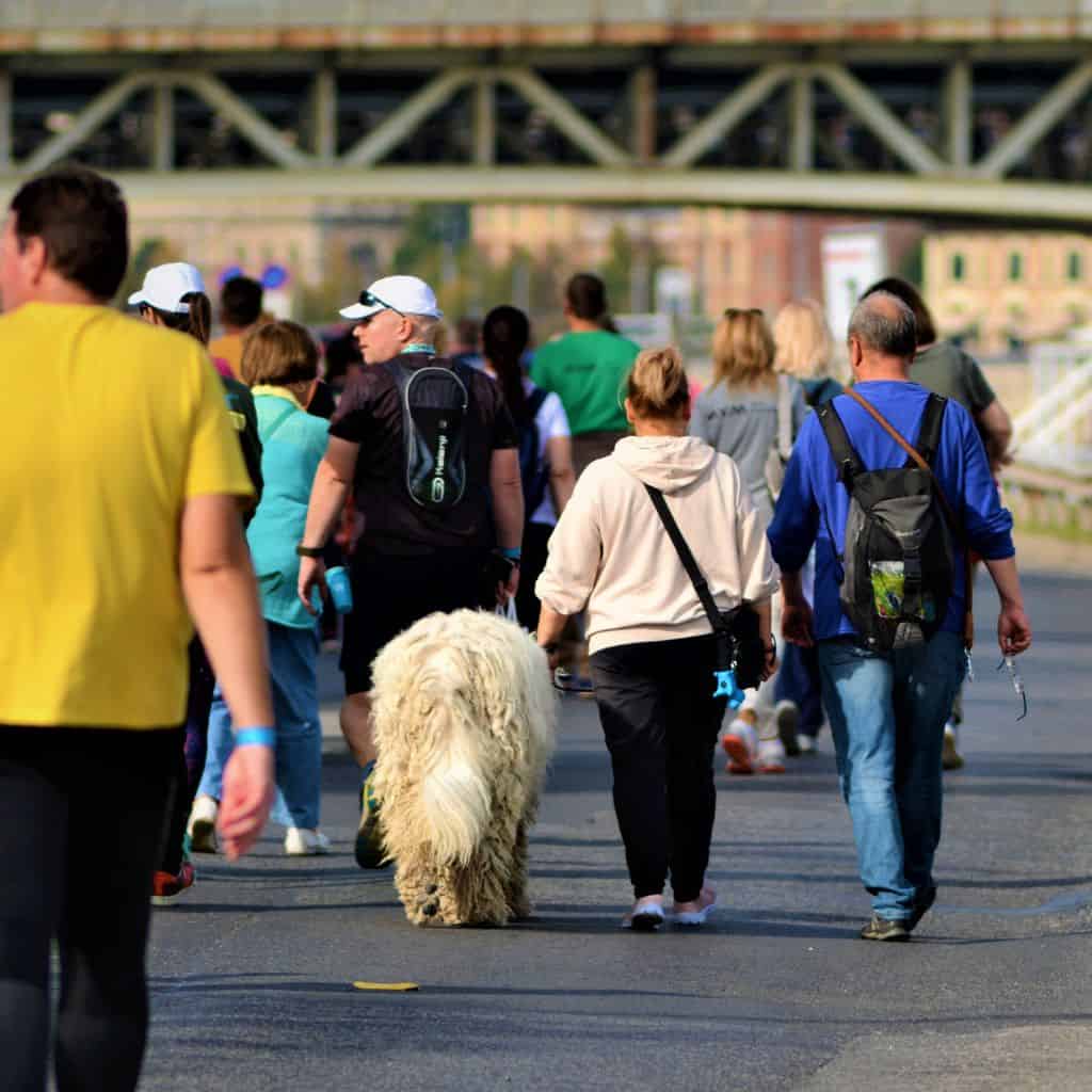 Túrázz Budapesten a Spar Maratonnal!-1