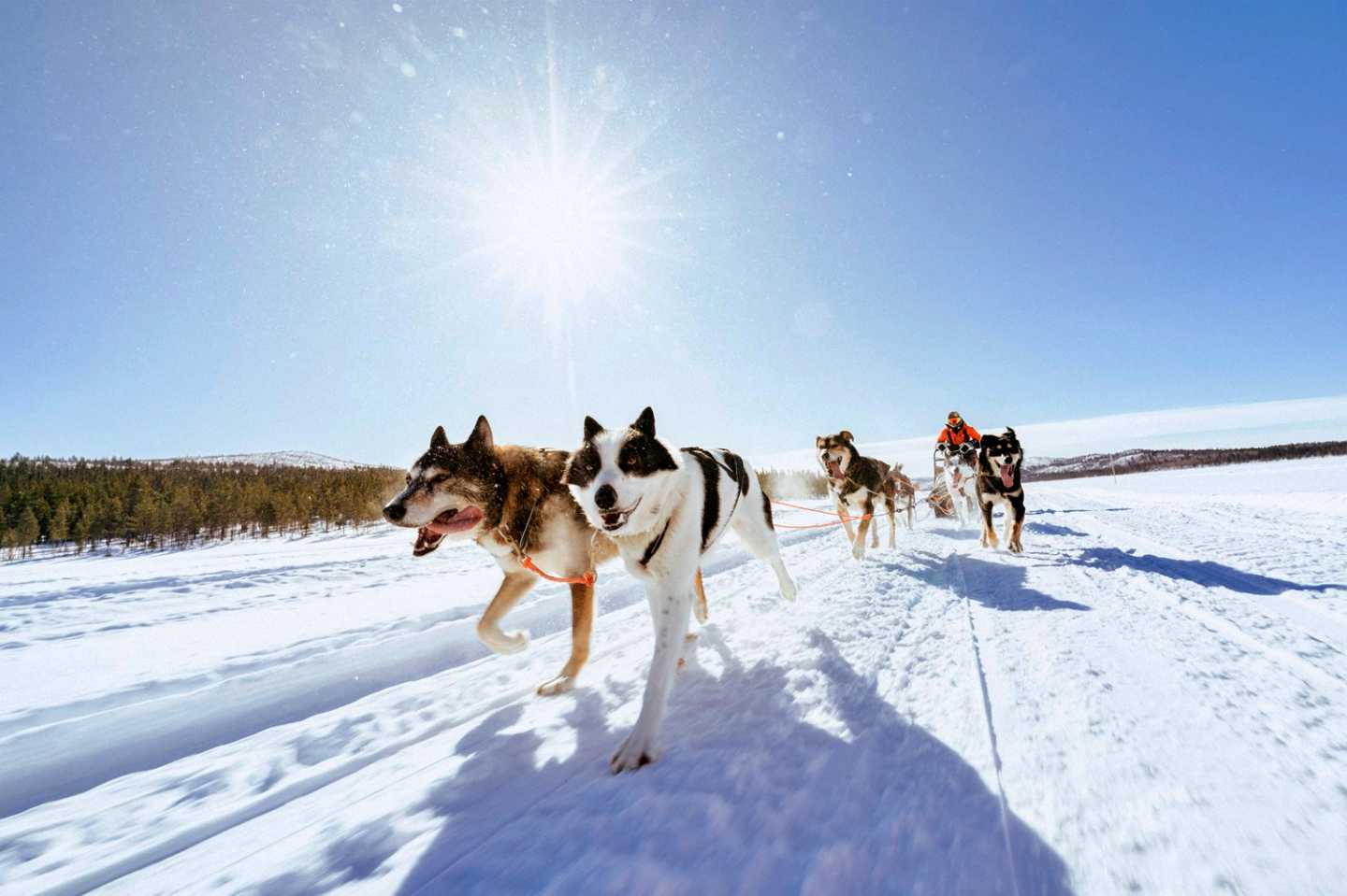 Indul a jelentkezés a 20. évfordulóját ünneplő Fjällräven Polarra!-3