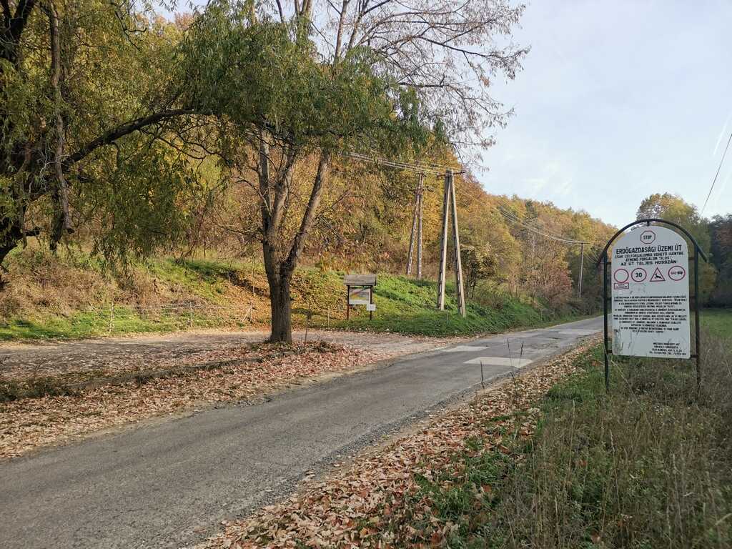 Sárkány keresés a Kelet-Mecsekben-1