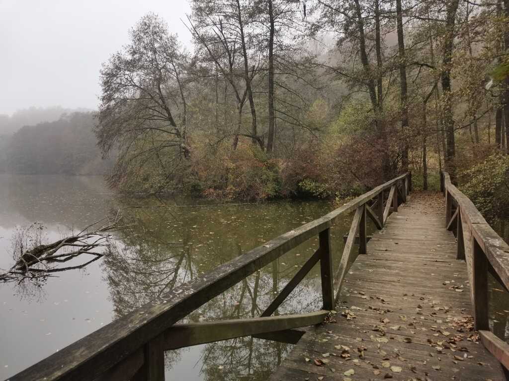 Az Orfűi tórendszer természetes erdei szegletében-3