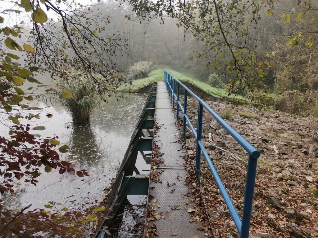 Az Orfűi tórendszer természetes erdei szegletében-6